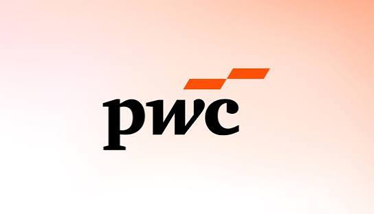 PwC Logo placeholder